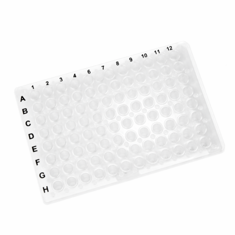 200 µL 96-Well PCR Plate – None-Skirted, Sterile, Clear Wells