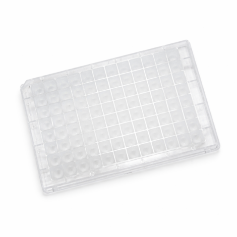 0.5 mL 96-Well Deep-Well Plate – Square Wells, Sterile, Conical Bottom
